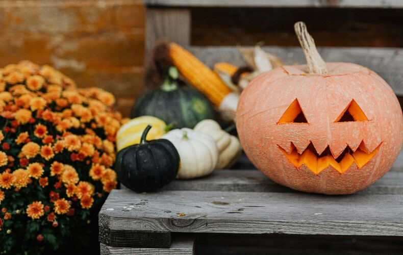 Concours de décoration de citrouille