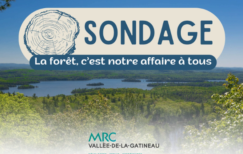 Sondage : La forêt, c'est notre affaire à tous!
